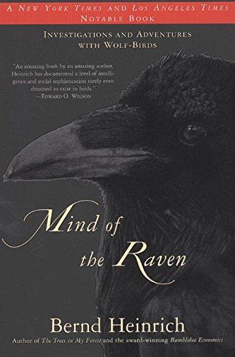 Mind of the Raven (2000)