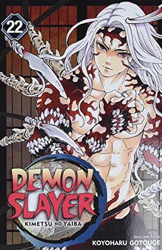 Koyoharu Gotouge: Demon Slayer: Kimetsu no Yaiba, Vol. 22 (Paperback, 2021, VIZ Media LLC)
