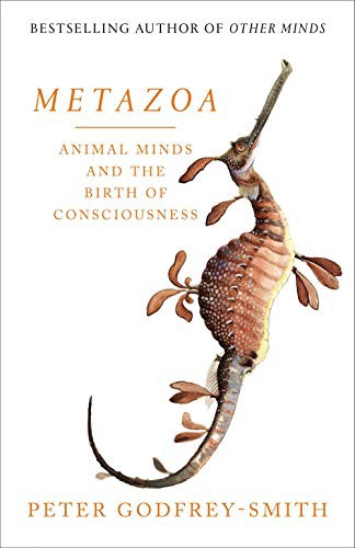 Peter Godfrey-Smith: Metazoa (Paperback, William Collins)