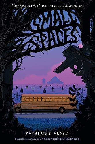 Small Spaces (Hardcover, 2019, Thorndike Press Large Print)