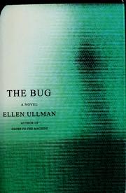 Ellen Ullman: The bug (2003, Nan A. Talese)