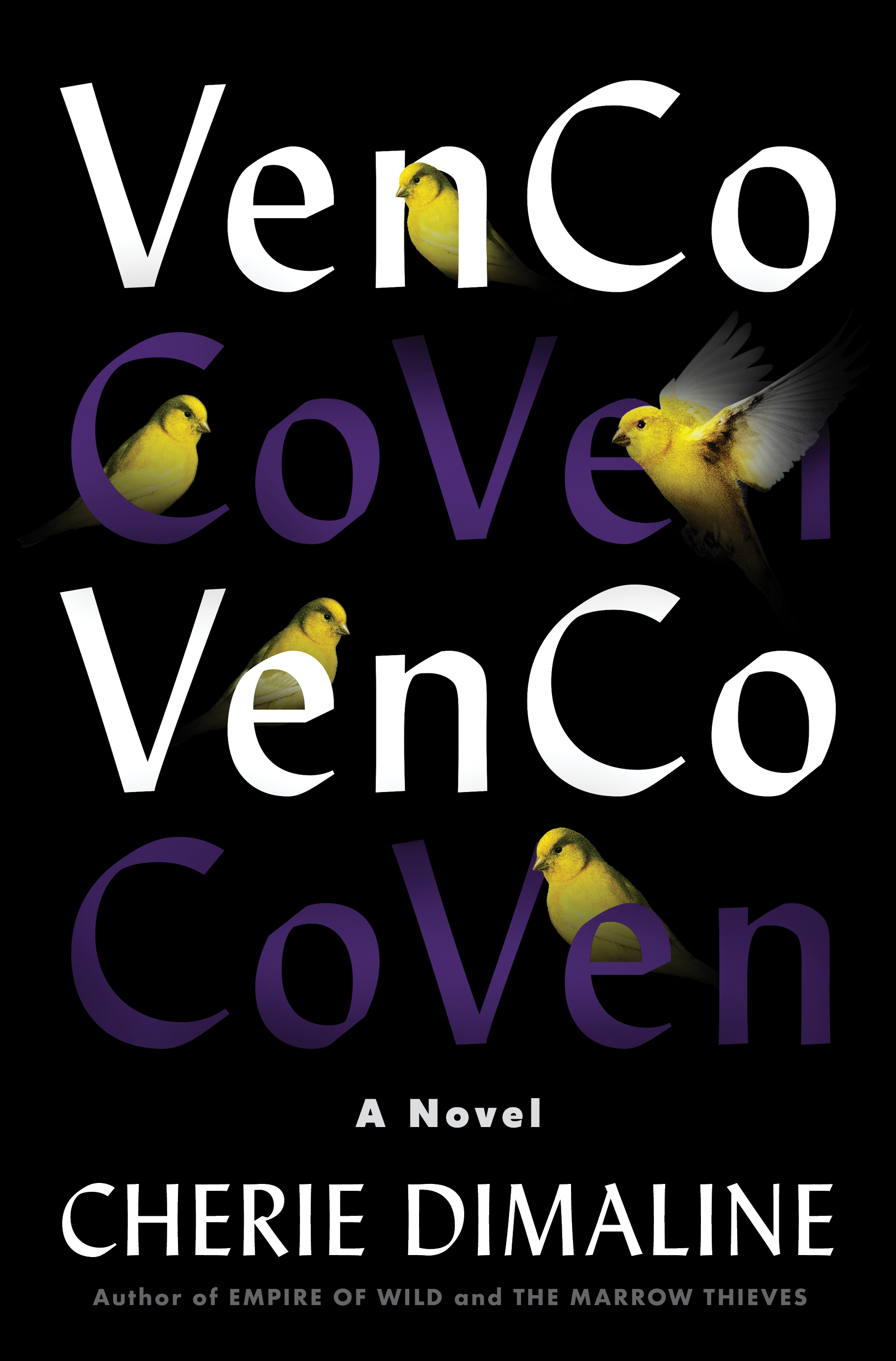 Cherie Dimaline: VenCo (Hardcover, 2023, HarperCollins Publishers)