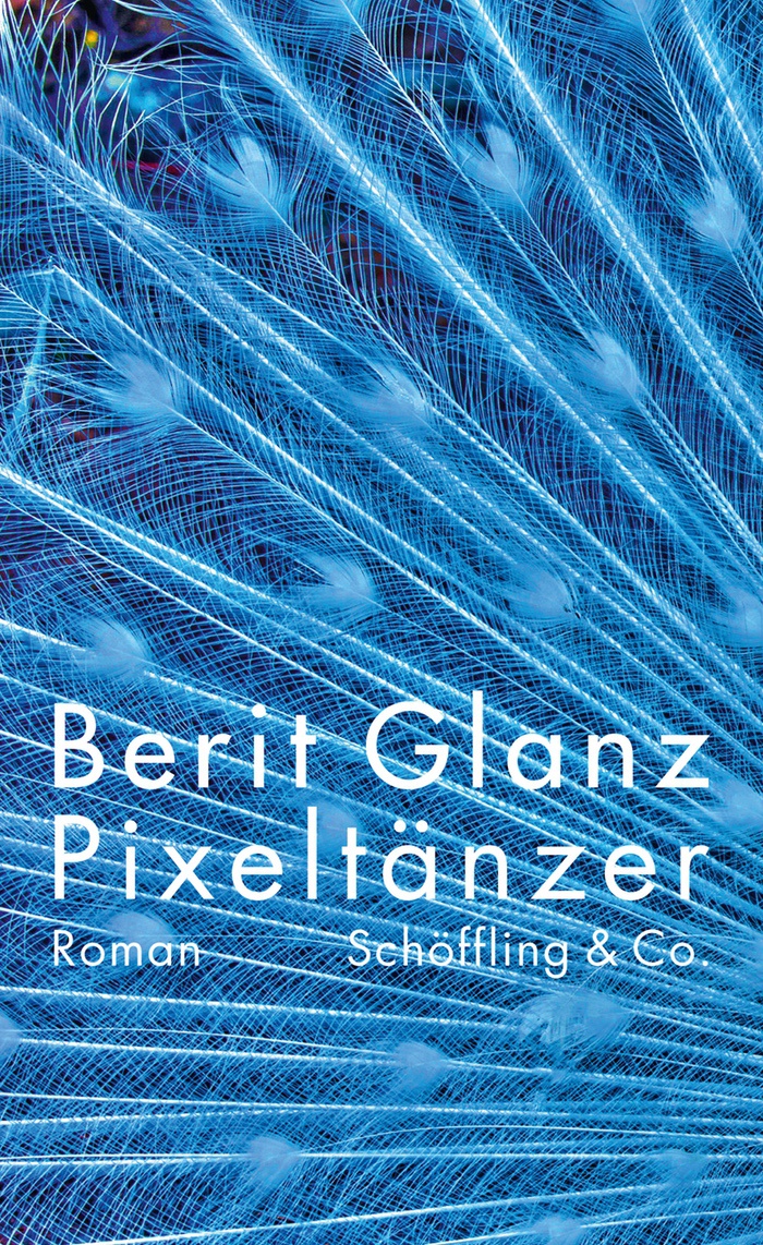 Pixeltänzer (German language, 2020, Schöffling & Co.)