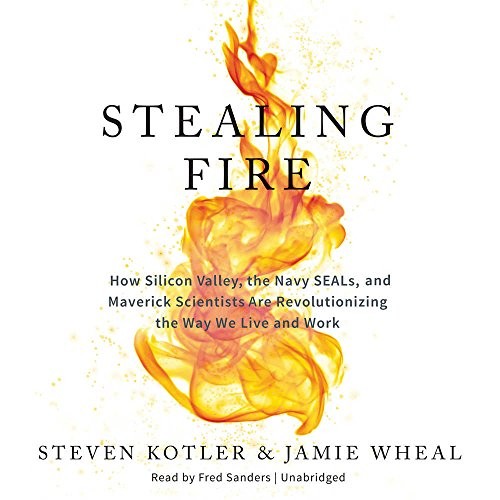 Jamie Wheal, Steven Kotler: Stealing Fire (AudiobookFormat, 2017, HarperCollins Publishers and Blackstone Audio)