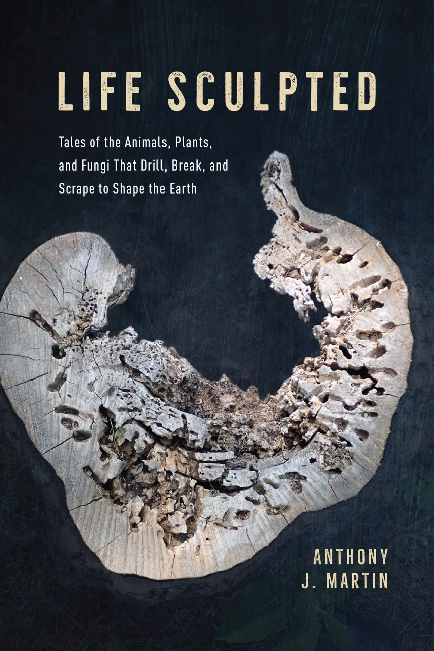 Anthony J. Martin: Life Sculpted: Tales of the Animals, Plants, and Fungi That Drill, Break, and Scrape to Shape the Earth (Hardcover, 2023, University of Chicago Press)