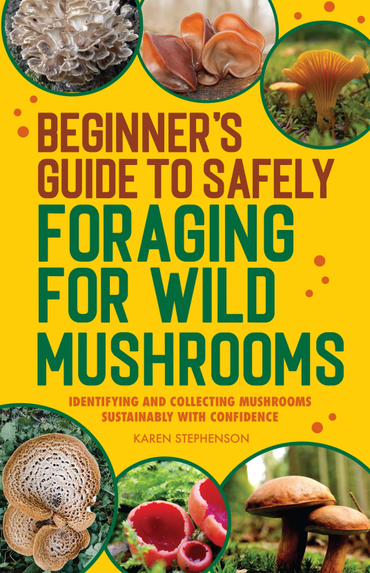 Karen Stephenson: Beginner's Guide to Safely Foraging for Wild Mushrooms (2022, Callisto Media)