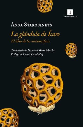 Fernando Otero Macías, Laura Fernández, Anna Starobinets: La glándula de Ícaro: el libro de las metamorfosis (Paperback, Español language, 2023, Impedimenta)