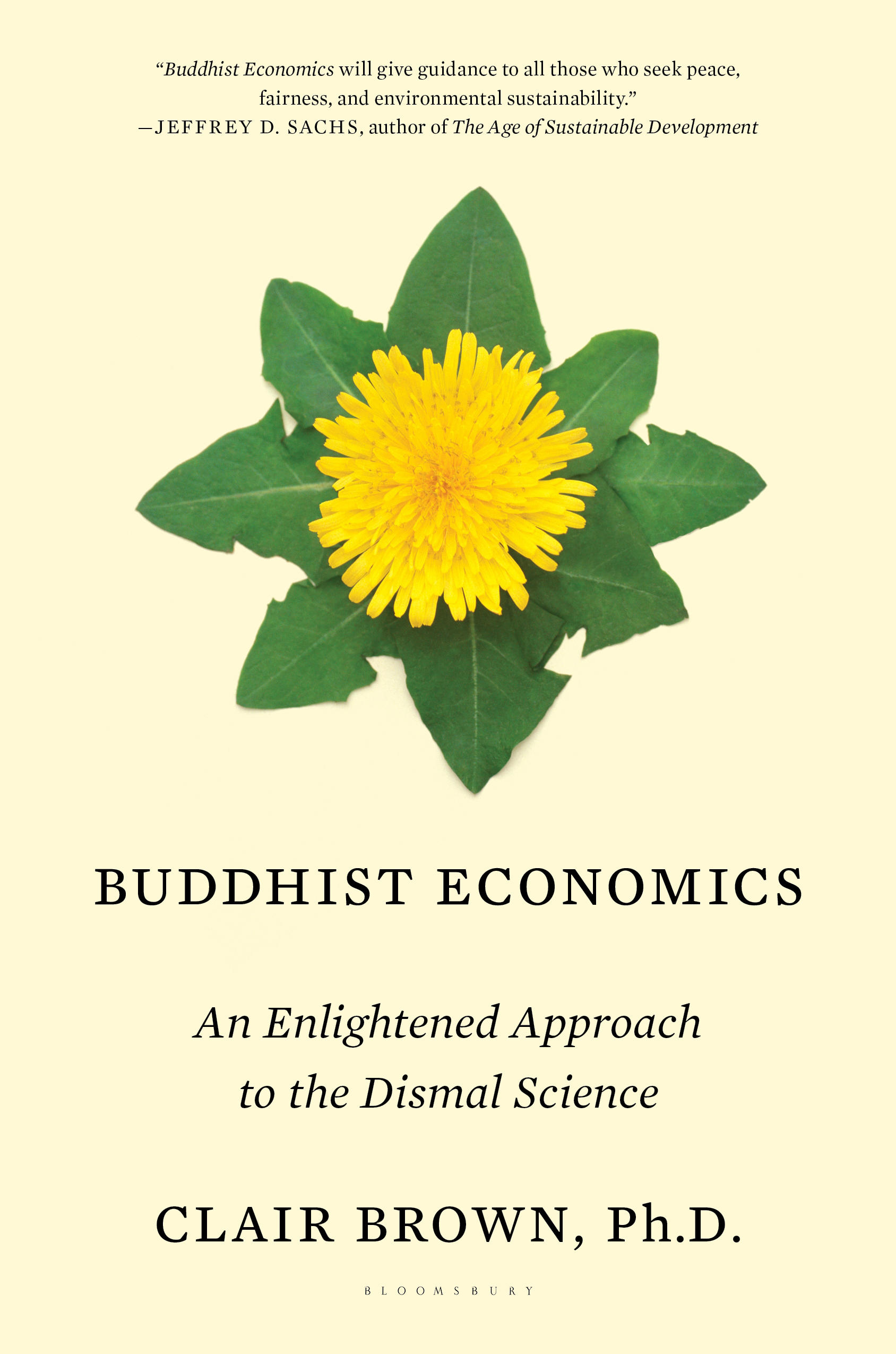 Buddhist Economics (Hardcover, 2017, Bloomsbury Press)
