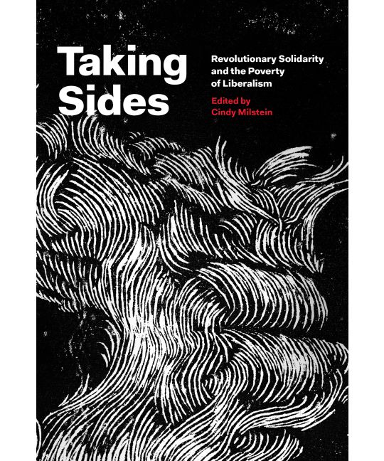 Cindy Milstein: Taking Sides (2015)