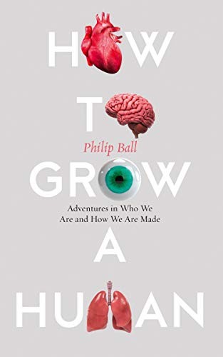 Philip Ball: How to Grow a Human (Hardcover, 2019, William Collins)