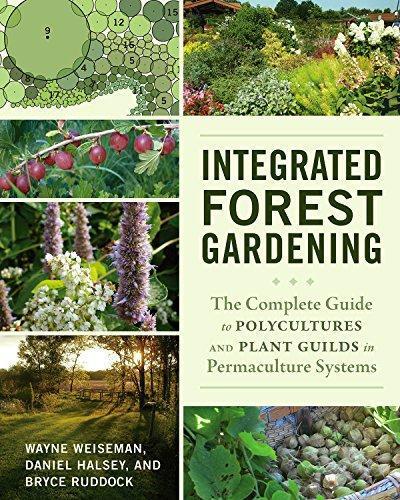 Bryce Ruddock, Wayne Weiseman, Daniel Halsey: Integrated Forest Gardening