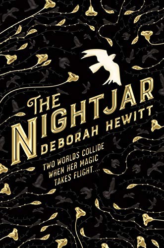 Deborah Hewitt: The Nightjar (Paperback, 2019, Tor Books)