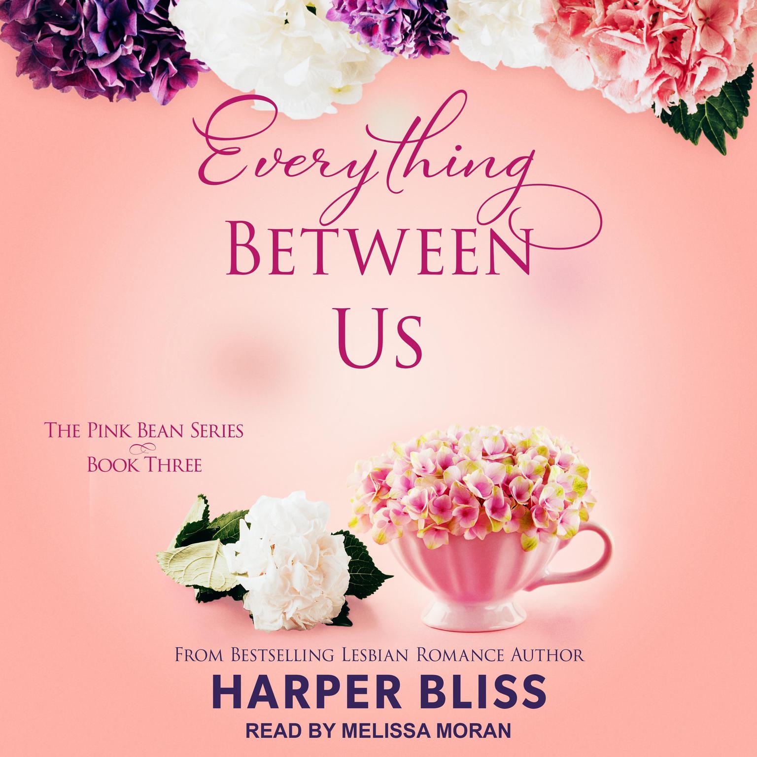 Harper Bliss: Everything Between Us (AudiobookFormat, 2021, Tantor and Blackstone Publishing)