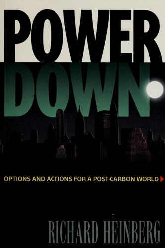 Richard Heinberg: Power down (Paperback, 2004, New Society Publishers)