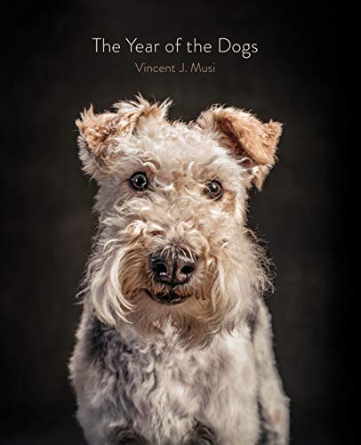 Vincent J. Musi: The Year of the Dogs (Hardcover, 2019, Chronicle Books)