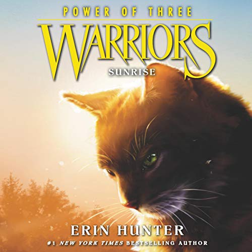 Erin Hunter, MacLeod Andrews: Warriors : Power of Three #6 (AudiobookFormat, 2019, Harpercollins, HarperCollins)