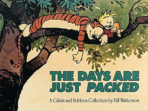 Bill Watterson: The days are just packed (1993)