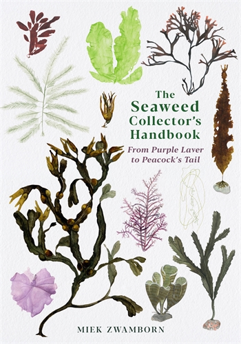 Miek Zwamborn, Michele Hutchison: Seaweed Collector's Handbook (Paperback, 2020, Profile Books Limited)