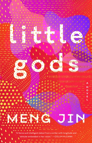 Meng Jin: Little Gods (Hardcover, 2020, Custom House)