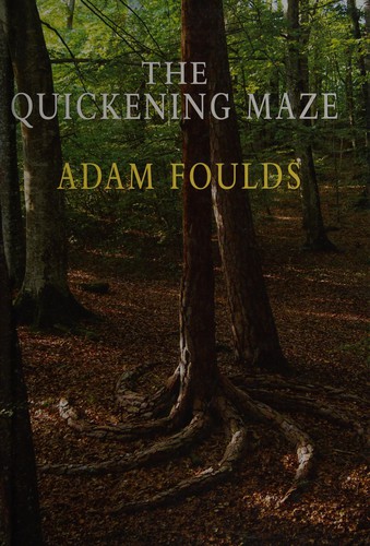 Adam Foulds: The quickening maze (2010, Windsor/Paragon, BBC Audio)