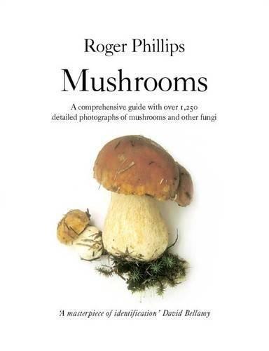 Roger Phillips: Mushrooms (2006, Macmillan)