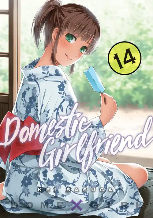 Kei Sasuga: Domestic Girlfriend, Volume 14 (EBook, 2018)
