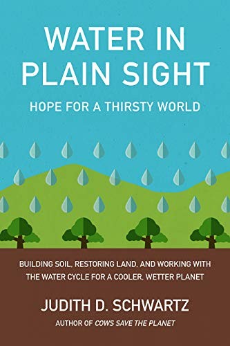 Judith Schwartz: Water in Plain Sight (Paperback, 2019, Chelsea Green Publishing)