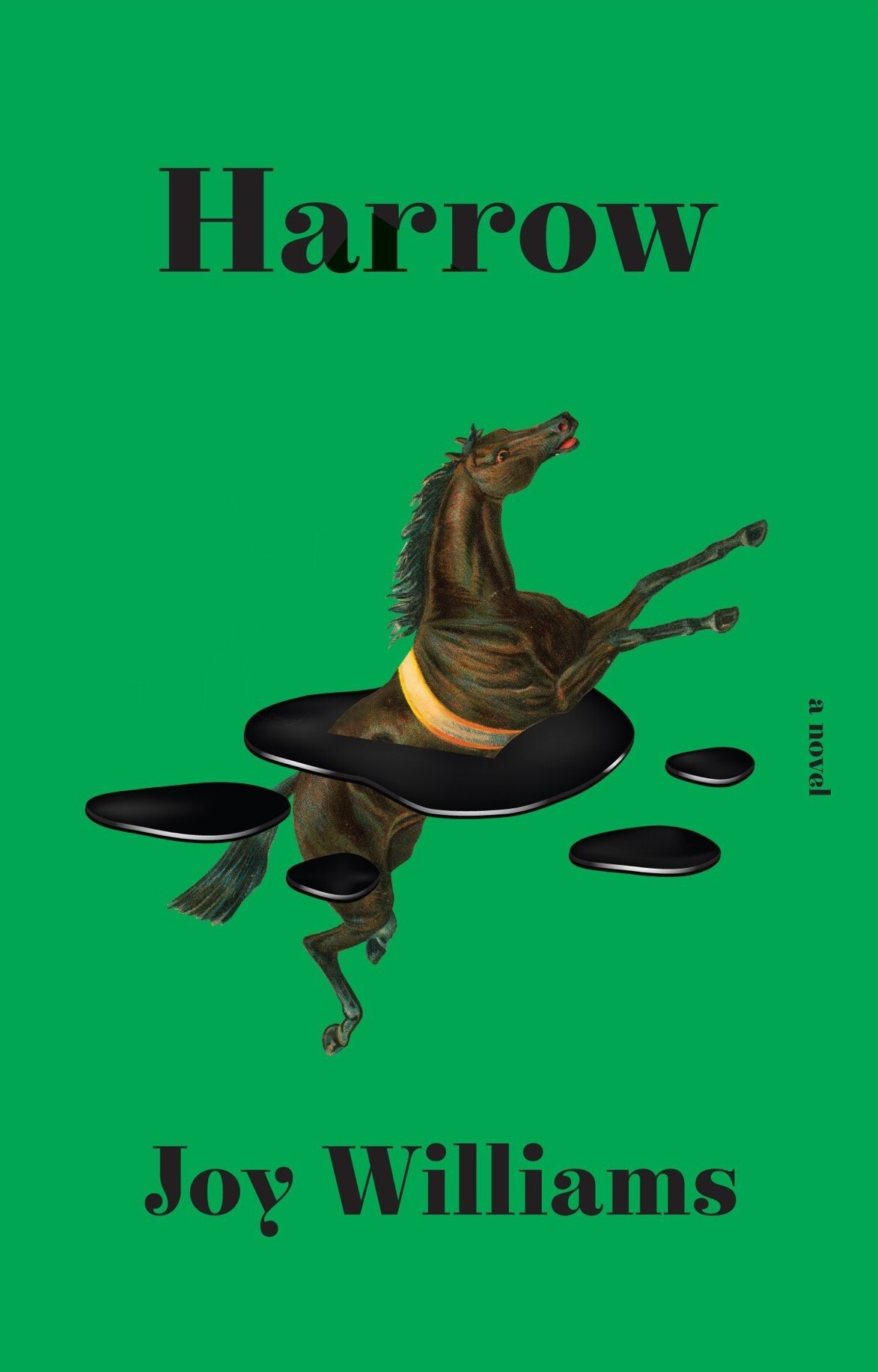 Joy Williams: Harrow (Hardcover, 2021, Knopf)