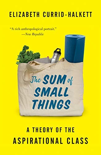 Elizabeth Currid-Halkett: The Sum of Small Things (Paperback, 2018, Princeton University Press)