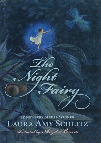 Laura Amy Schlitz: Night Fairy (Hardcover, 2011, Perfection Learning)