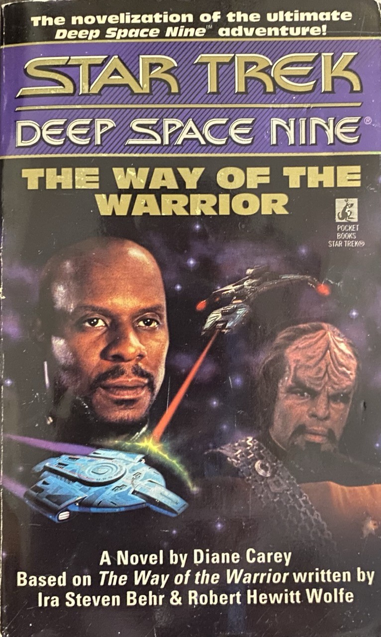 Cover of the novelization of the DS9 episode The Way of the Warrior (1995) by Diane Carey, showing Sisko and Worf with a Klingon ship in the background attacking the Defiant in the foreground. 

Tagline reads:

The novelization of the ultimate Deep Space Nine adventure!
