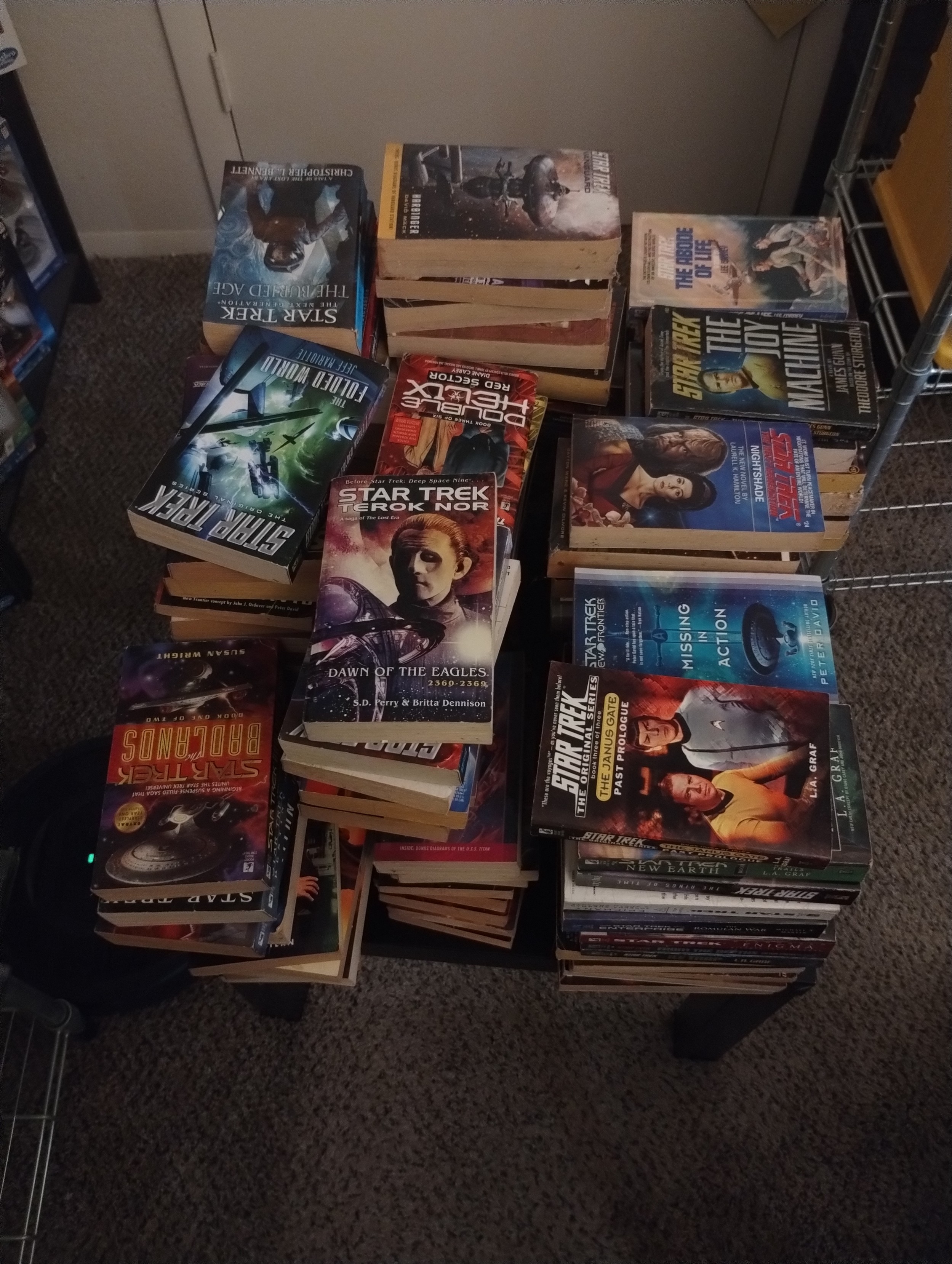 Group of at least 110 Star Trek Books from TNG, TOS and DS9 found at a yard sale for $10.00 for the group